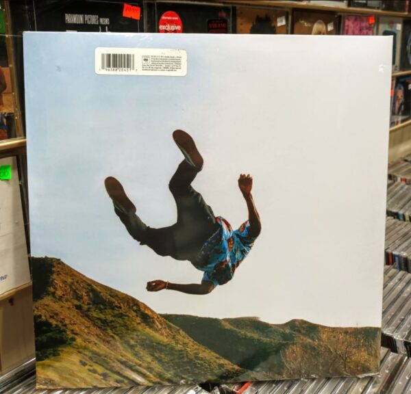 LP Tyler, The Creator – Wolf - Imagen 2